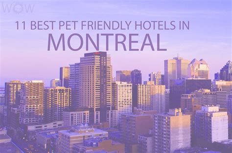pet friendly hotels west island montreal  View 78 Estates